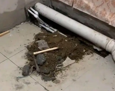 秀山卫生间漏水检测哪家好