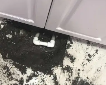 秀山查漏水哪家好