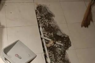 秀山卫生间漏水检测电话